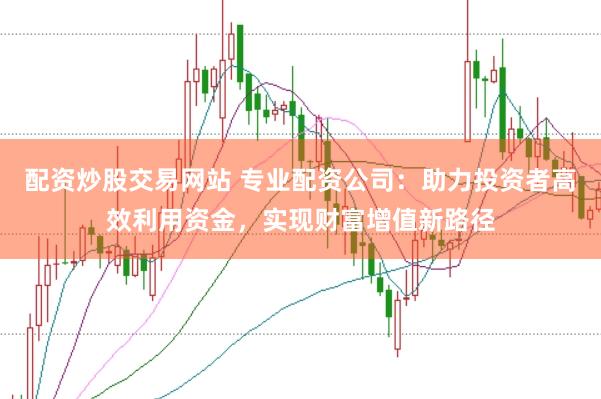配资炒股交易网站 专业配资公司：助力投资者高效利用资金，实现财富增值新路径