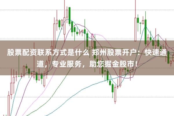 股票配资联系方式是什么 郑州股票开户：快速通道，专业服务，助您掘金股市！