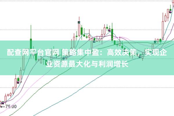配查网平台官网 策略集中盈：高效决策，实现企业资源最大化与利润增长