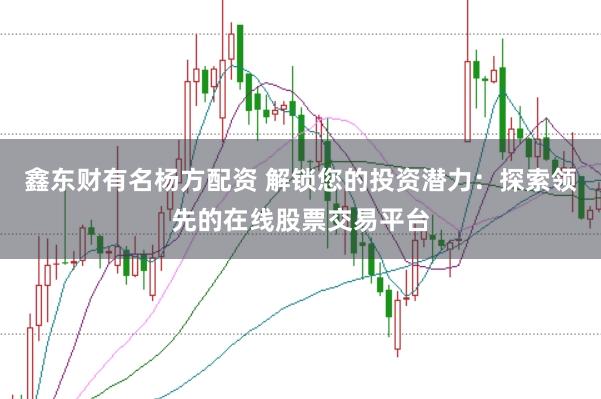 鑫东财有名杨方配资 解锁您的投资潜力：探索领先的在线股票交易平台