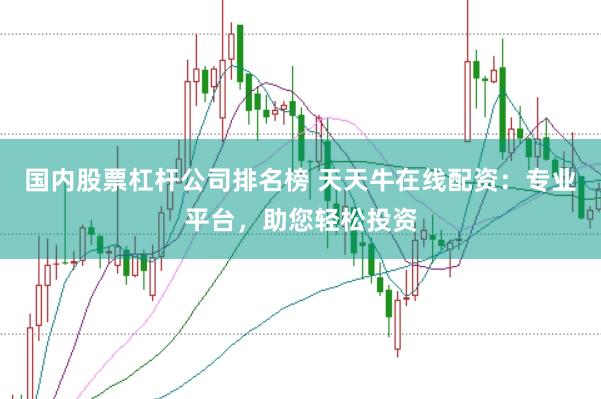 国内股票杠杆公司排名榜 天天牛在线配资：专业平台，助您轻松投资