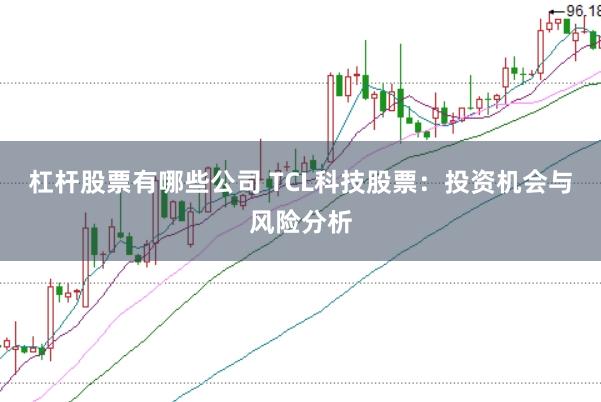 杠杆股票有哪些公司 TCL科技股票：投资机会与风险分析