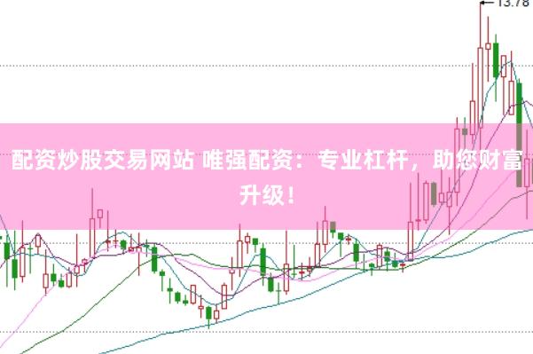 配资炒股交易网站 唯强配资：专业杠杆，助您财富升级！