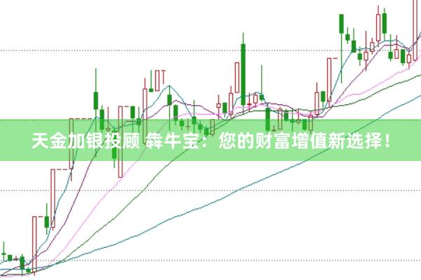 天金加银投顾 犇牛宝：您的财富增值新选择！