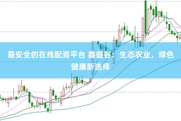 最安全的在线配资平台 鑫盛谷：生态农业，绿色健康新选择