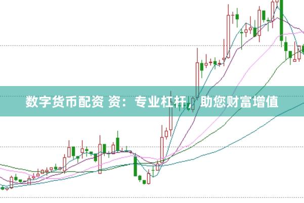 数字货币配资 资：专业杠杆，助您财富增值