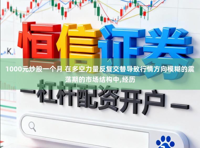 1000元炒股一个月 在多空力量反复交替导致行情方向模糊的震荡期的市场结构中,经历