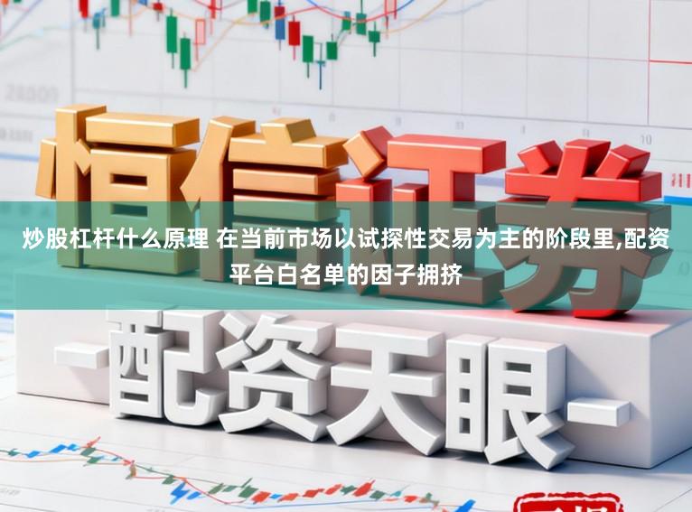 炒股杠杆什么原理 在当前市场以试探性交易为主的阶段里,配资平台白名单的因子拥挤
